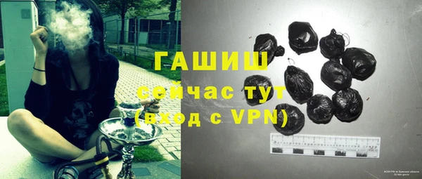 стаф Алагир